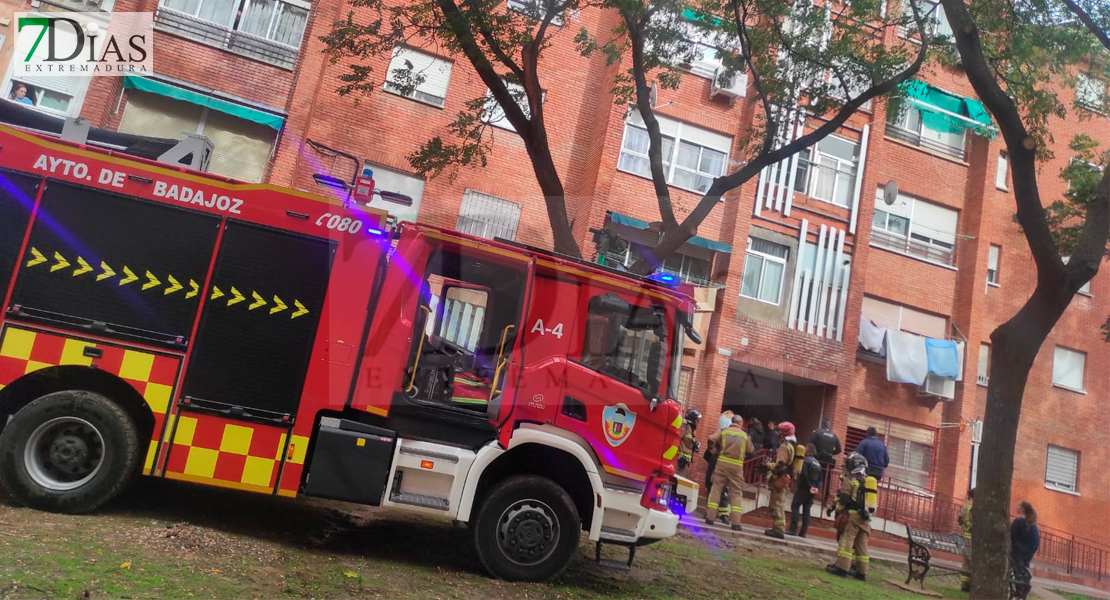 Todo el parque de bomberos movilizado por un incendio en Suerte de Saavedra (BA)