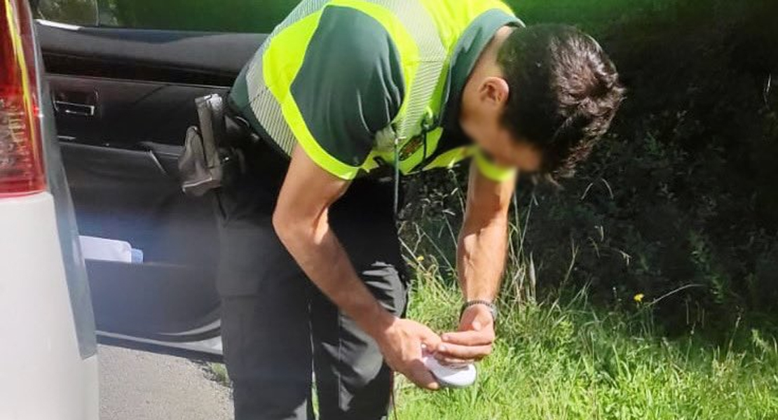 Una niña grave tras el ataque de un perro: heridas en la cara y el cuerpo