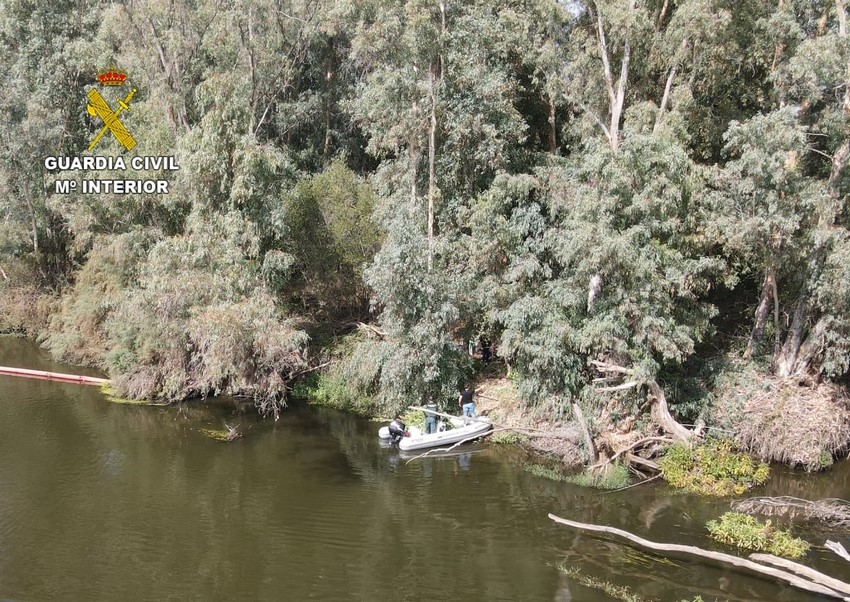 Descubren una plantación de marihuana en una isleta del rio Guadiana