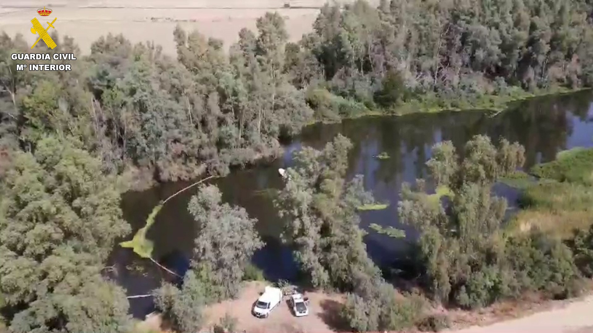 Descubren una plantación de marihuana en una isleta del rio Guadiana