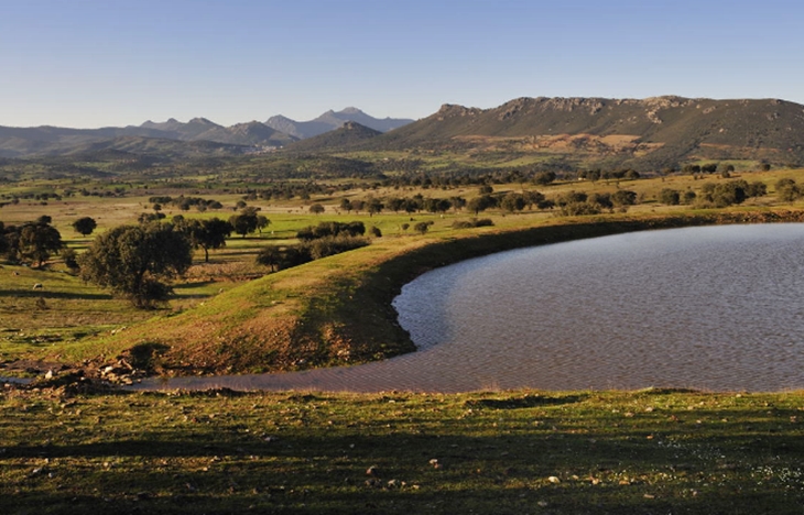 Extremadura invierte en áreas protegidas y zonas de reproducción de especies