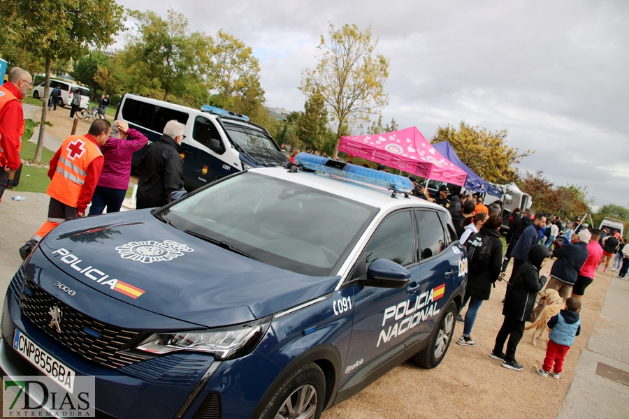 Éxito de público en la Carrera 091 2023 en Badajoz