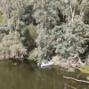 Descubren una plantación de marihuana en una isleta del rio Guadiana