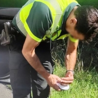 Una niña grave tras el ataque de un perro: heridas en la cara y el cuerpo