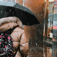 Aviso amarillo en Extremadura con rachas de viento de hasta 80 km/hora