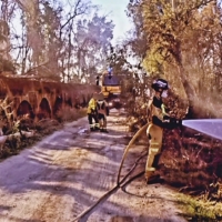 Bomberos de Badajoz trabajan durante horas para extinguir un incendio forestal
