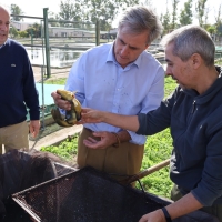 El Centro de Acuicultura 'Las Vegas del Guadiana' puntero en España