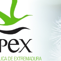 La Sociedad de Gestión Pública de Extremadura oferta dos puestos de trabajo