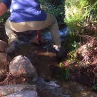 Paliar el cambio climático a través de sistemas ancestrales en Extremadura