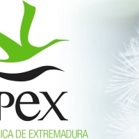 EMPLEO: ofertan cinco puestos de trabajo en Extremadura