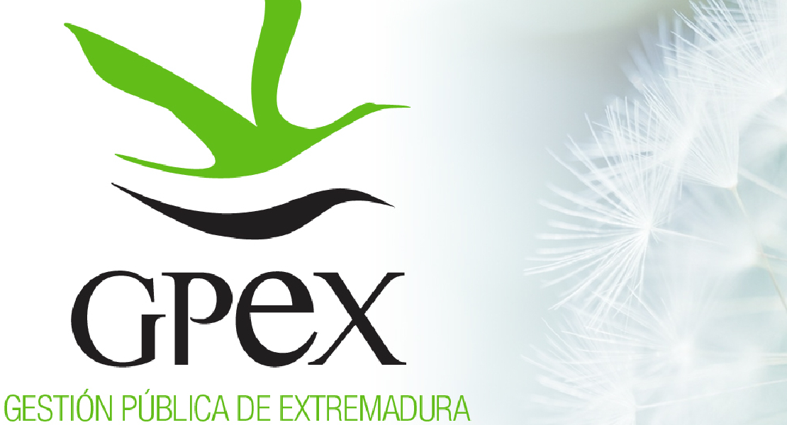 Gpex oferta dos puestos de trabajo