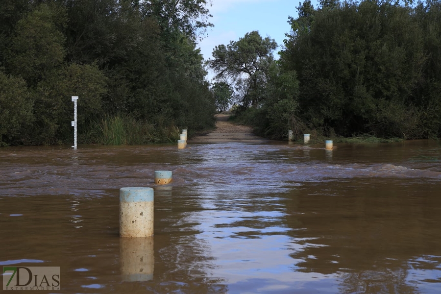 Así han quedado alguno ríos y arroyos extremeños tras el paso de la borrasca Aline