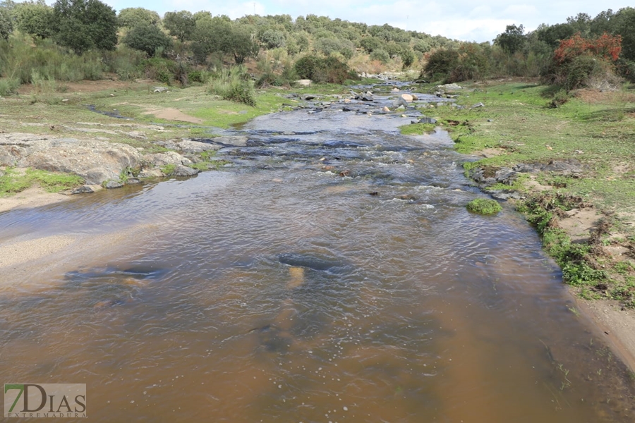 Así han quedado alguno ríos y arroyos extremeños tras el paso de la borrasca Aline