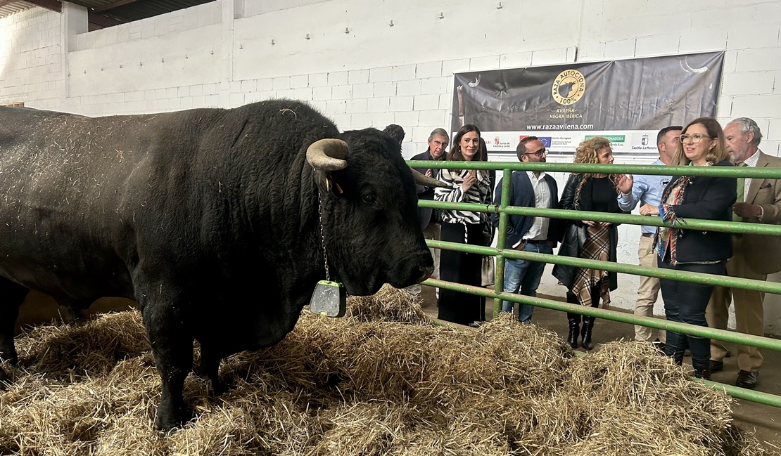 Continúan los trabajos para acabar con la Tuberculosis Bovina