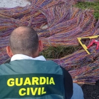 Dos semanas sin teléfono por culpa de dos ladrones en un pueblo extremeño