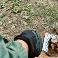 Desactivan un artefacto explosivo  en un municipio extremeño