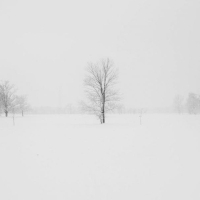¿Cómo será el invierno 2023-2024?