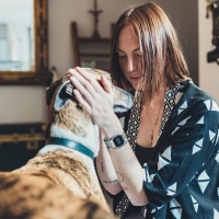 Jornada formativa sobre la Ley de Bienestar Animal en Cáceres