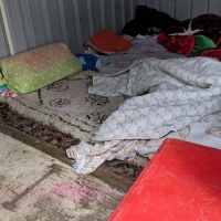 Obligados a vivir en un contenedor y comer alimentos podridos en una finca extremeña