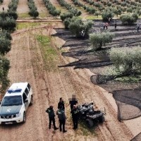 Podrían ir a la cárcel por tener a 14 trabajadores sin contrato en Almendralejo