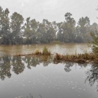 Vertido contaminante en un arroyo extremeño