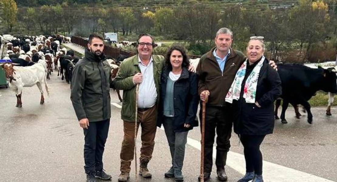 La ruta trashumante que recorre el Valle del Jerte