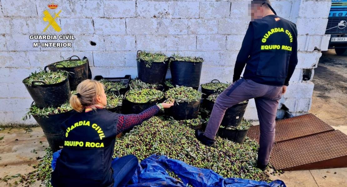 Detectan irregularidades en un puesto de compra de aceituna en Extremadura Detectan irregularidades en un puesto de compra de aceituna en Extremadura