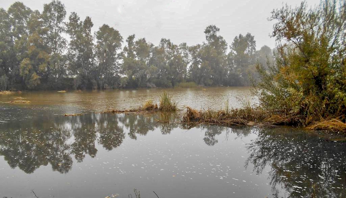 Vertido contaminante en un arroyo extremeño que comunica con el río Guadiana