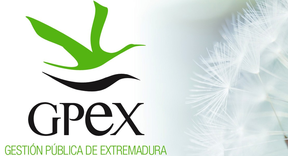 GPEX oferta otras dos plazas de empleo en Extremadura