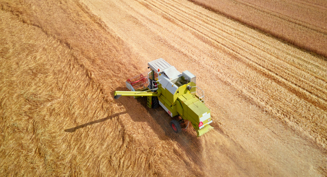 Balance negativo para el sector agrícola y ganadero