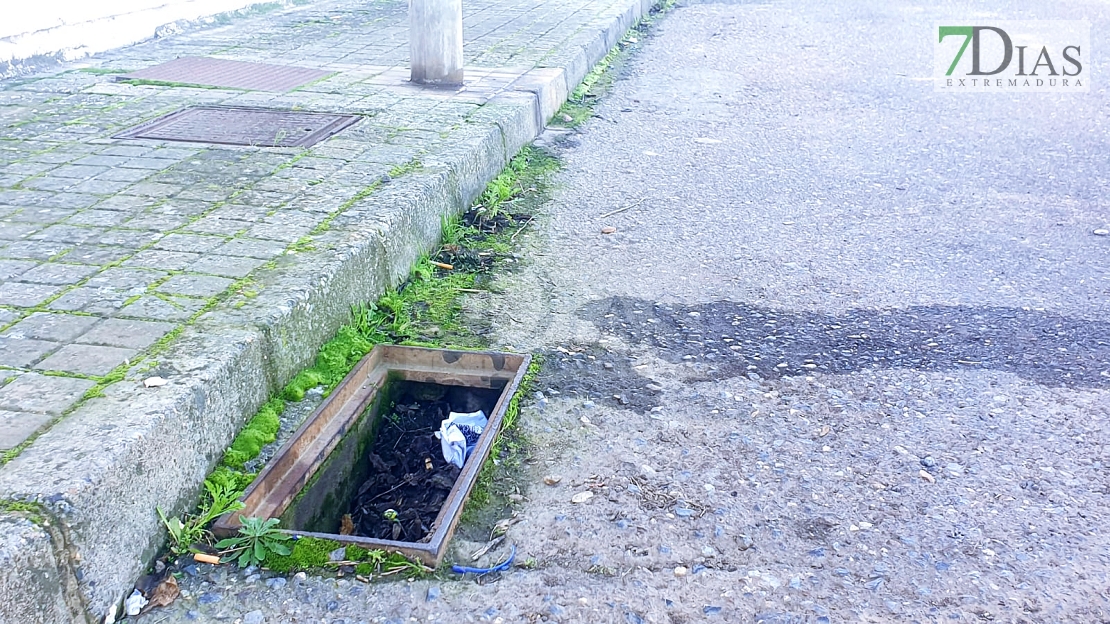 Cansados de la desidia del Ayuntamiento: "Alcalde, jamás te vimos pasear por la Luneta"