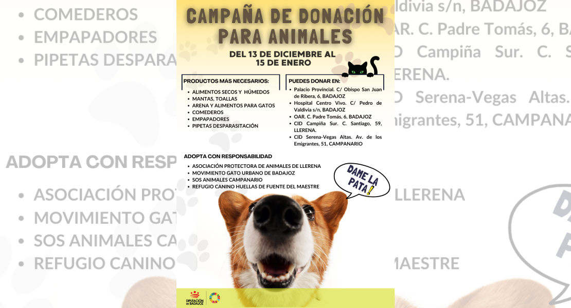 La Diputación pone en marcha la campaña de ‘Donación para Animales’