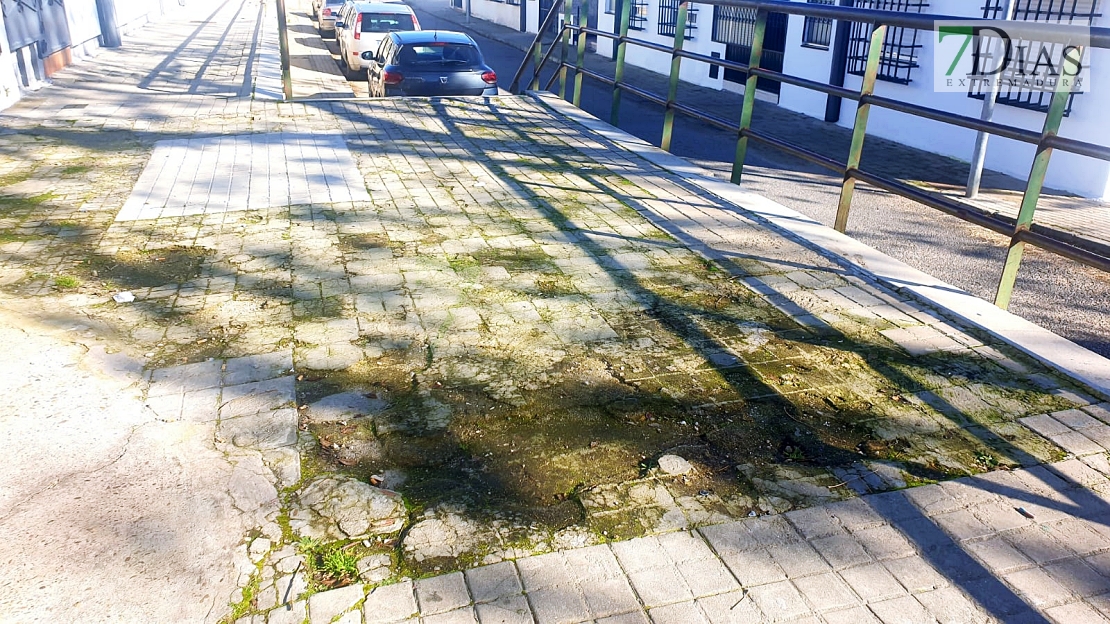 Cansados de la desidia del Ayuntamiento: "Alcalde, jamás te vimos pasear por la Luneta"