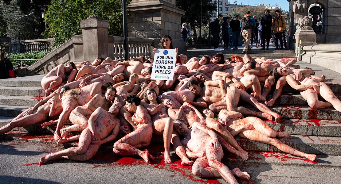 Medio centenar de activistas se desnudan en mitad de la calle