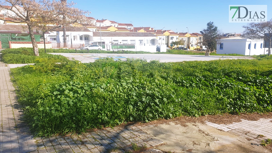 Cansados de la desidia del Ayuntamiento: "Alcalde, jamás te vimos pasear por la Luneta"
