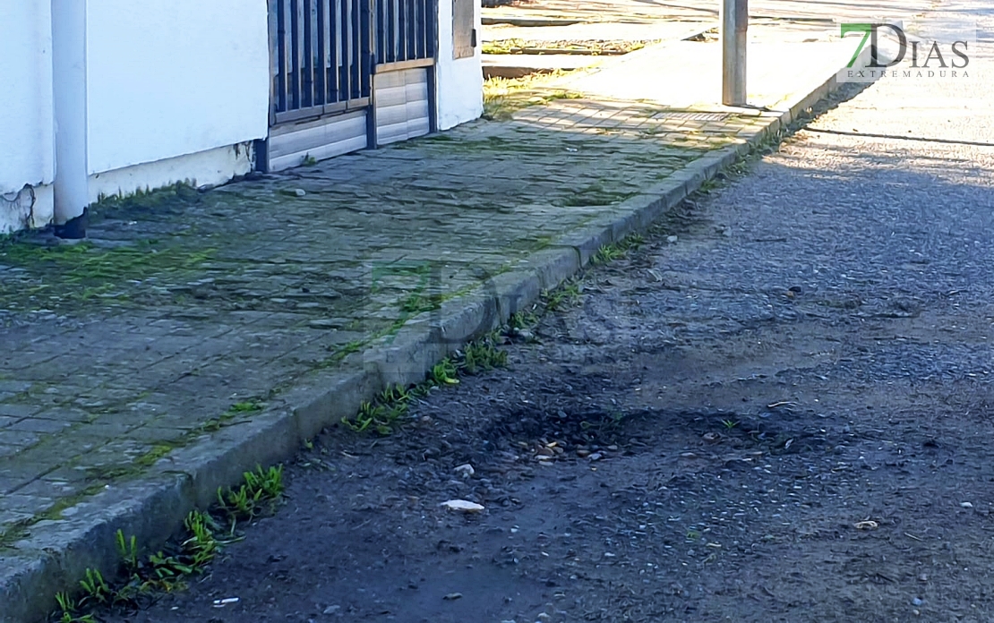 Cansados de la desidia del Ayuntamiento: "Alcalde, jamás te vimos pasear por la Luneta"