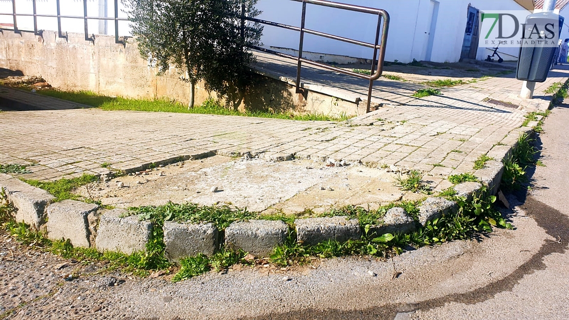 Cansados de la desidia del Ayuntamiento: "Alcalde, jamás te vimos pasear por la Luneta"