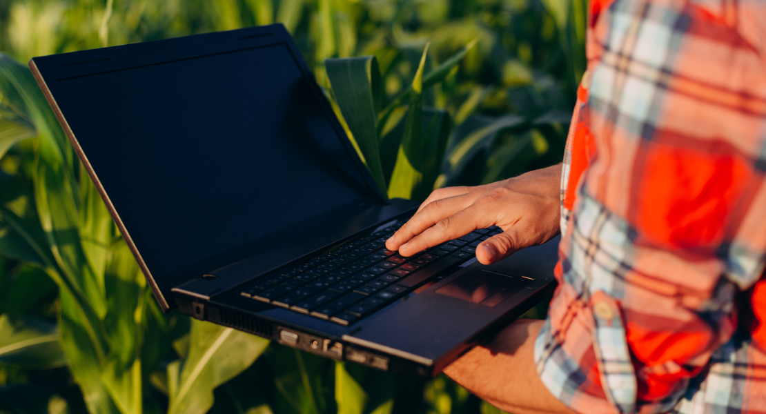 EMPLEO: se oferta una plaza relacionada con la Ingeniería Agronómica en Extremadura