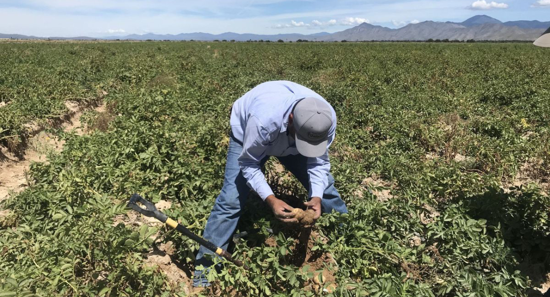 Unión de Uniones pide favorecer a los agricultores y ganaderos frente los fondos de inversión