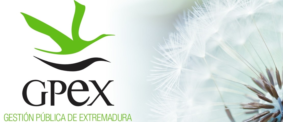 EMPLEO: oferta de trabajo para personal técnico en relaciones laborales en Extremadura