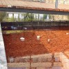 El penoso estado de Puerta Pilar: una vergüenza más del centro histórico de Badajoz