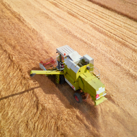 Balance negativo para el sector agrícola y ganadero este 2023