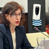 La Junta incluye otros tipos de violencia además de la VdG en el presupuesto del IMEX