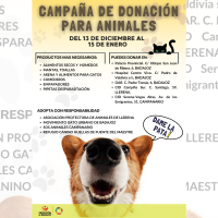 La Diputación pone en marcha la campaña de ‘Donación para Animales’