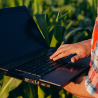 EMPLEO: se oferta una plaza relacionada con la Ingeniería Agronómica en Extremadura