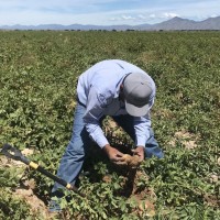 Exigen favorecer a los agricultores y ganaderos frente los fondos de inversión