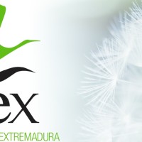 EMPLEO: oferta de trabajo para personal técnico en relaciones laborales en Extremadura