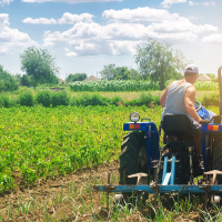 La Junta abona más de 96 M€ por los pagos de la PAC