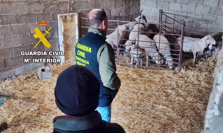 Investigan a un vecino de Alburquerque por robar ganado de una explotación ganadera