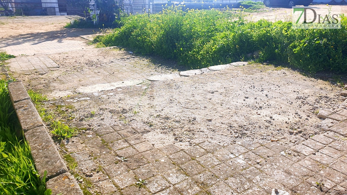 Cansados de la desidia del Ayuntamiento: "Alcalde, jamás te vimos pasear por la Luneta"